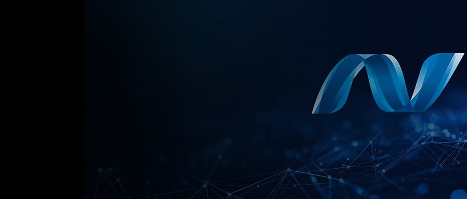 .net development company